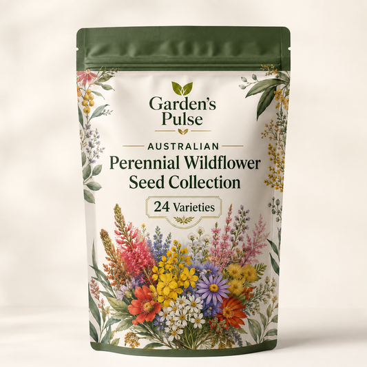 Australian Perennial Wildflower Seeds